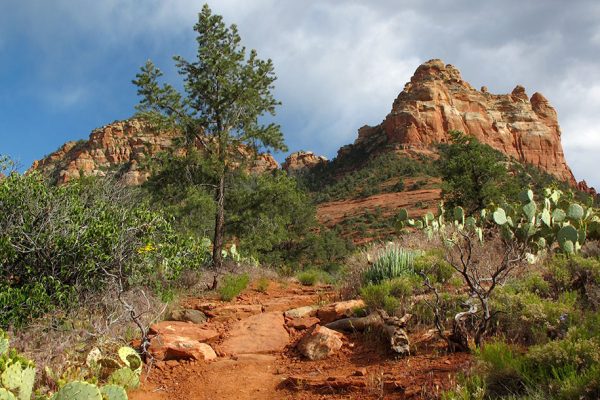 Here's a photo of the desert landscape in Sedona, Arizona. This photo was taken during a hiking tour with Ryder-Walker Alpine Adventures.