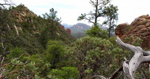 A photo of the landscape in Sedona Arizona taken during a hiking tour with Ryder-Walker Alpine Adventures.