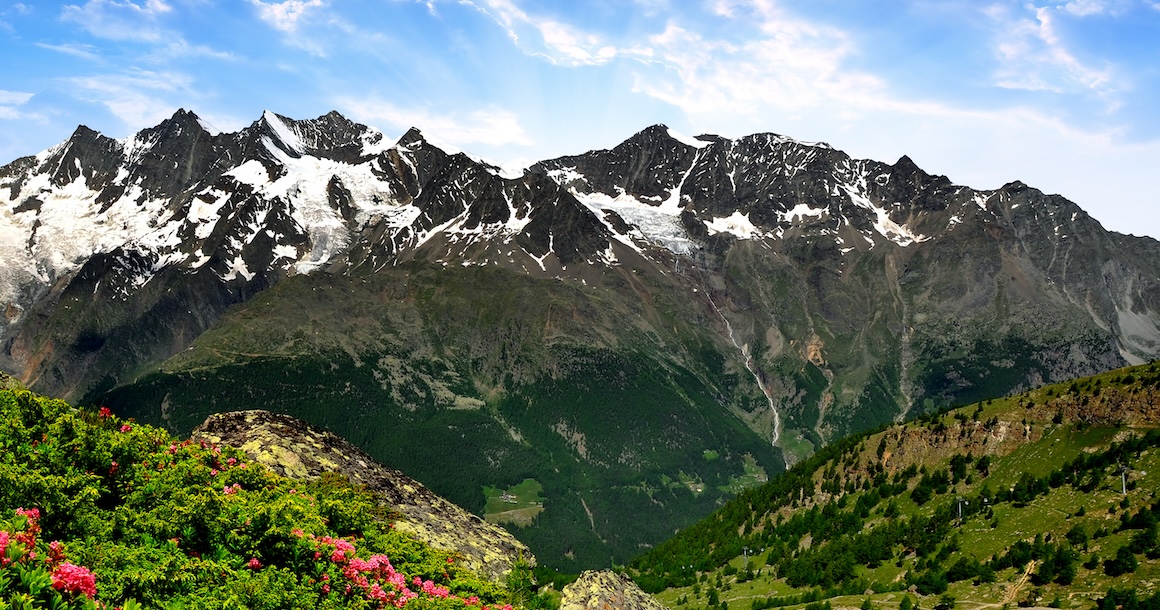 Summer peaks with a little snow and red flowers in the foreground.