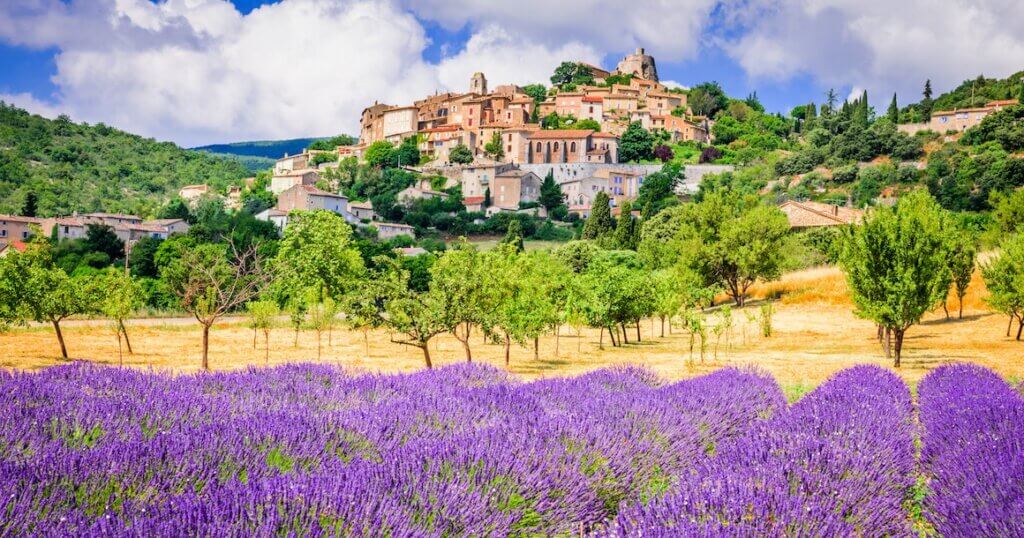 A lavender field with a town on a hill in the background