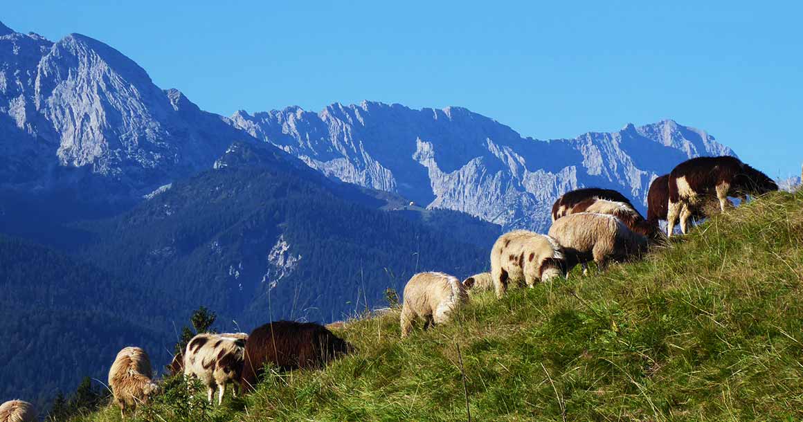 The peaks of the Bavarian Tyrol