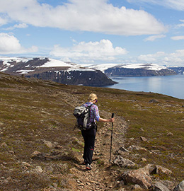 The remote westfjords
