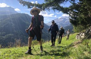 A group of Hikers using trekking poles.