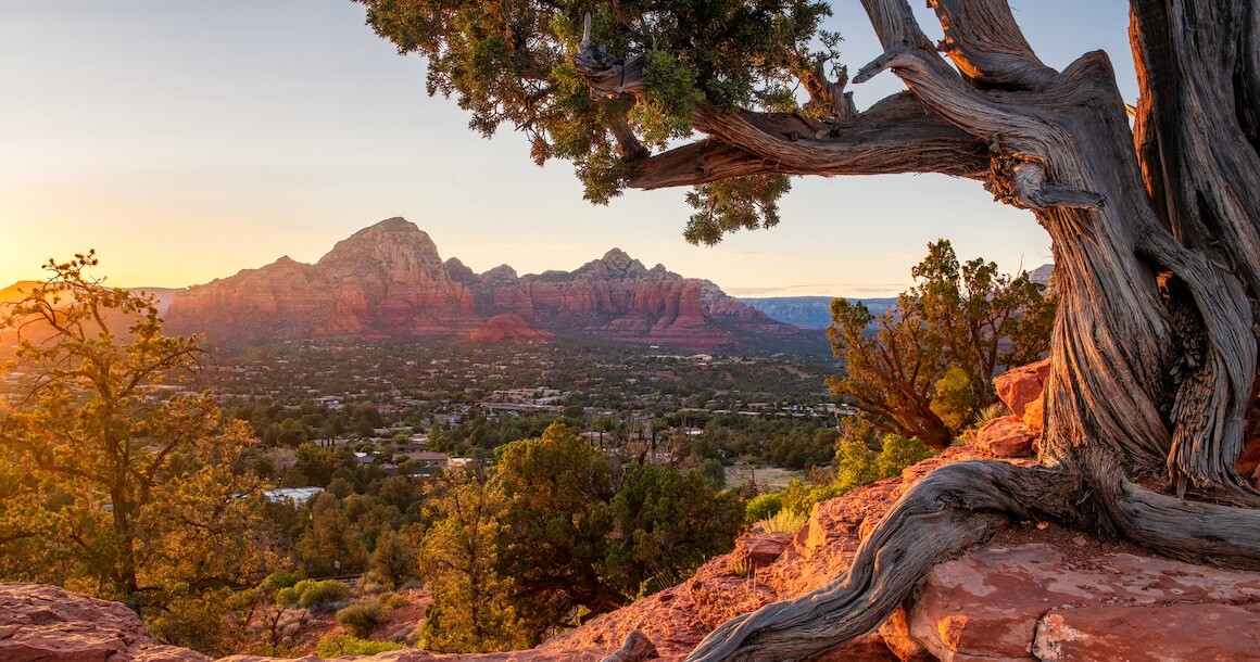 A view corridor looking at Sedona from a tree and red rock