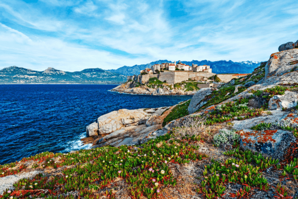 Beautiful flowers and town perched on the island of Corsica