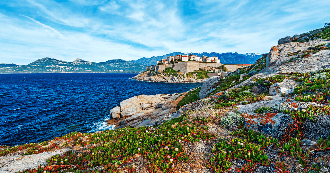 Beautiful flowers and town perched on the island of Corsica