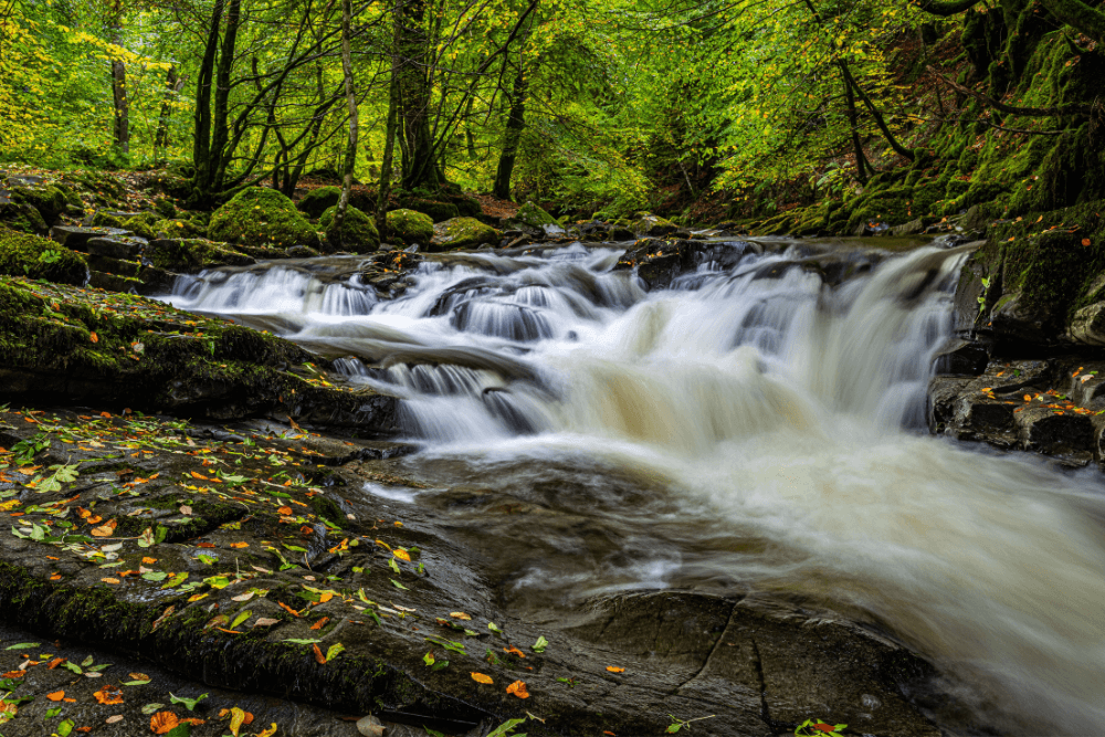 Birks o'Aberfeldy area in Scotland