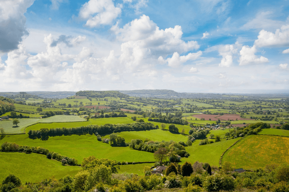 Green pastures in the Cotswolds