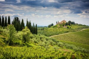 Chianti hills with vineyards and cypress.