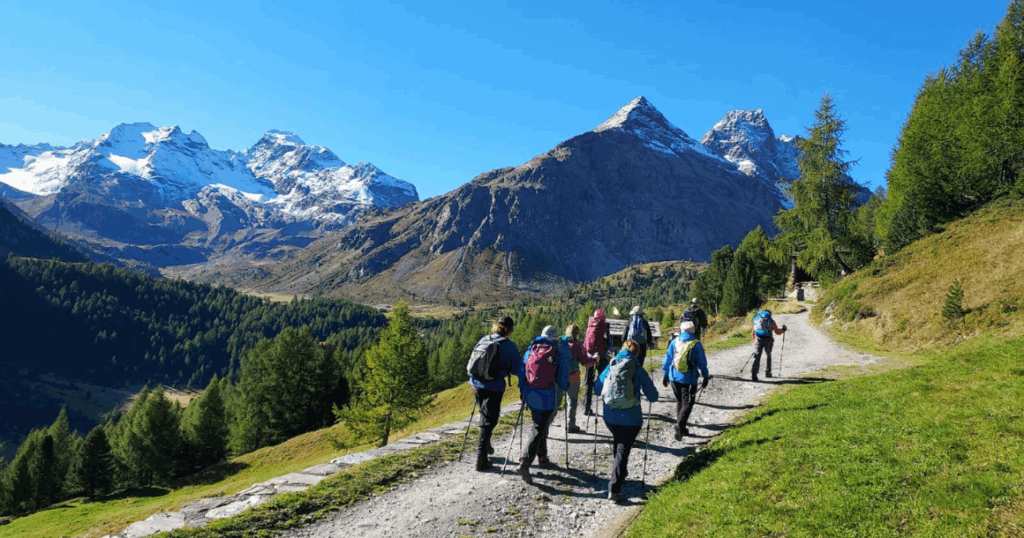 Group of hikers on a trail in the Ortler Alps