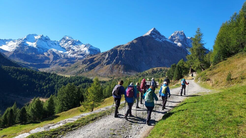 Group hikes towards snow-capped mountains.