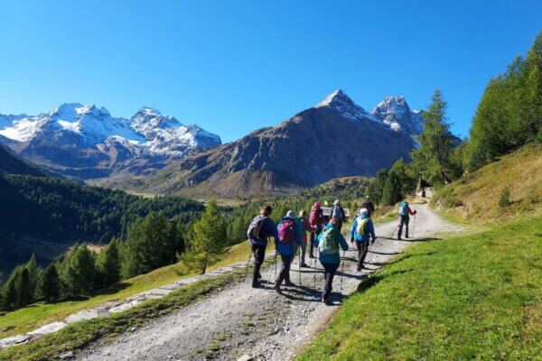 Group hikes towards snow-capped mountains.