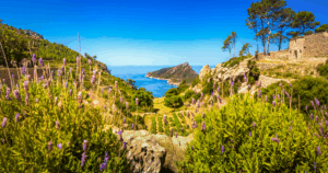 La Trapa in Mallorca