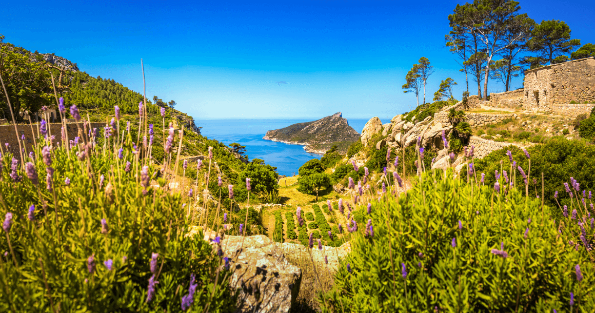 La Trapa in Mallorca