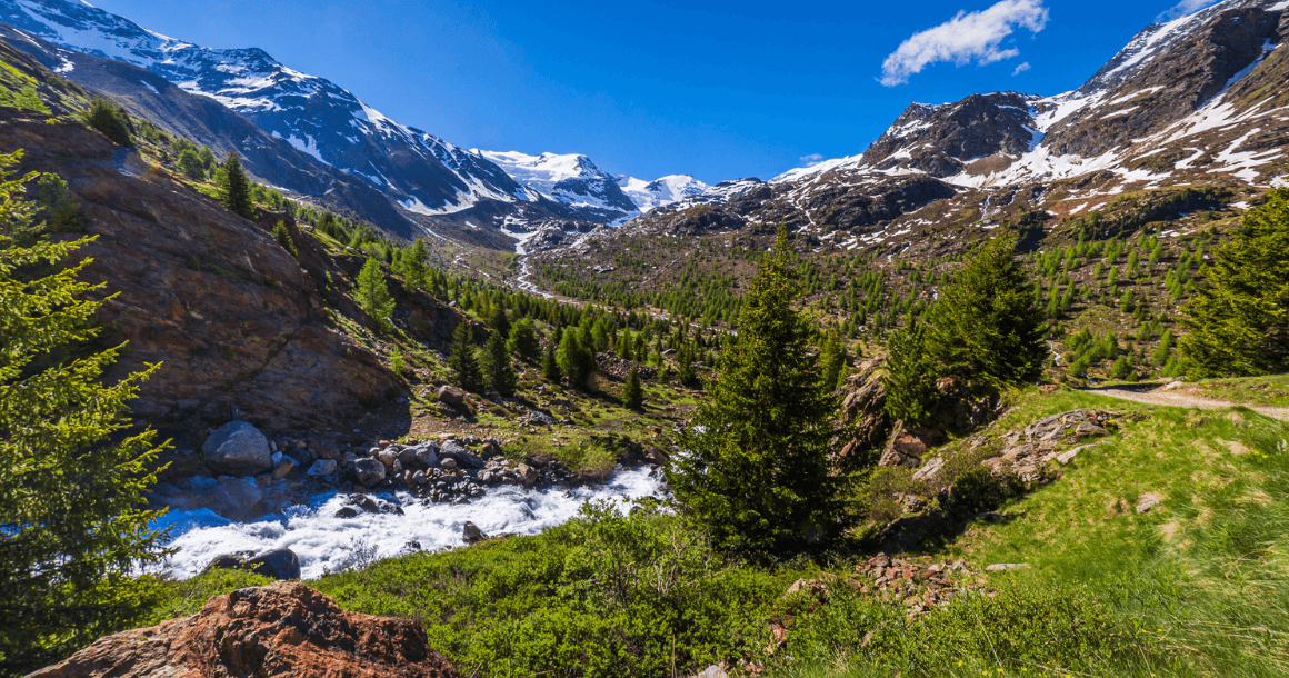 Stelvio National Park
