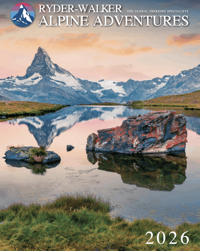 Screen Shot 2025-12-24 at 9.30.43 AM