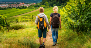 Walkers trekking to a vineyard