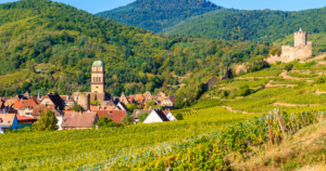 Village and castle next to vineyard