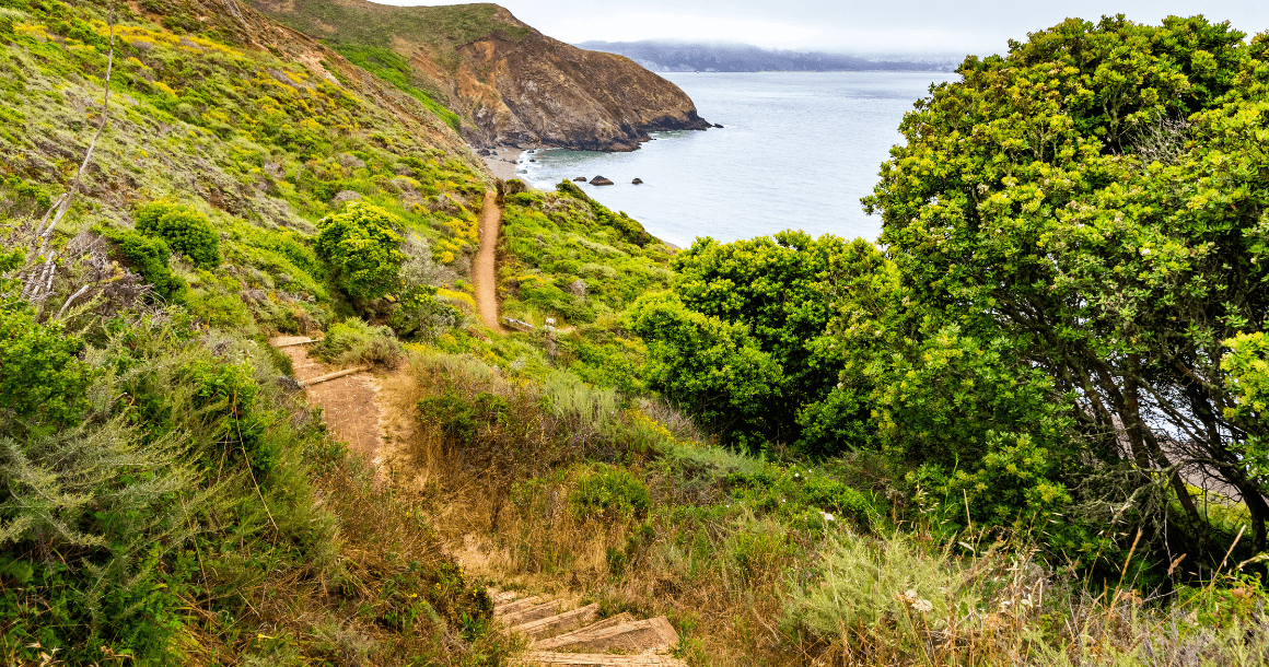 Marin Headlands walking trail