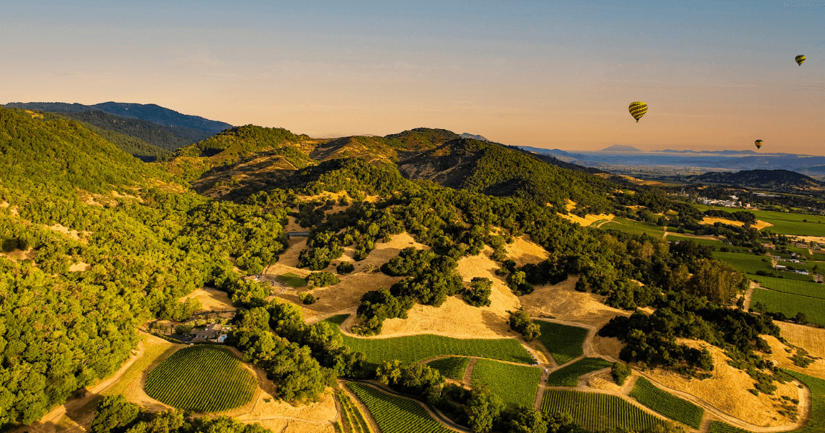 Napa Valley hot air balloon