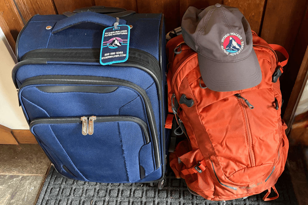 Suitcase and backpack